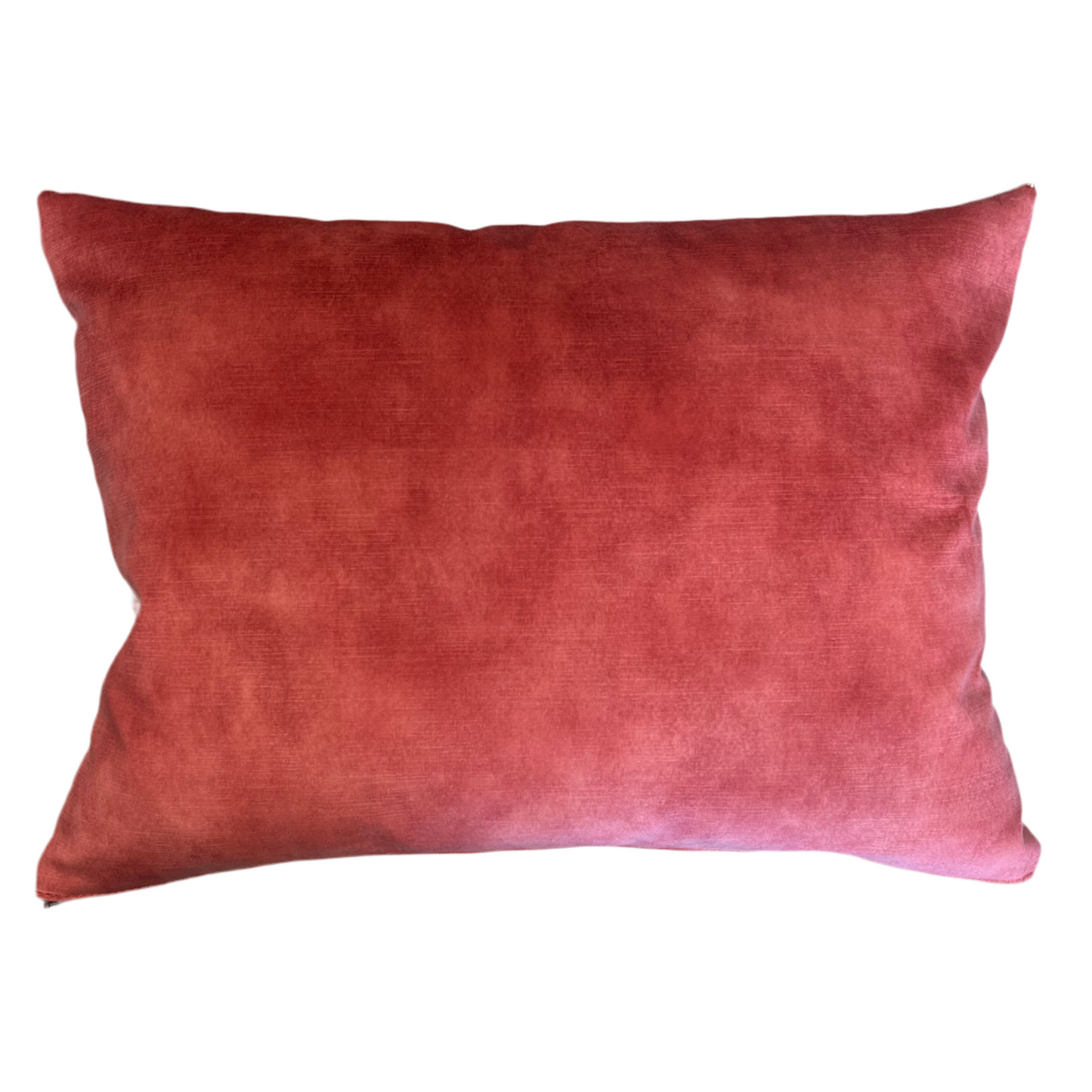 Sudbury silk mill Bugs cushion