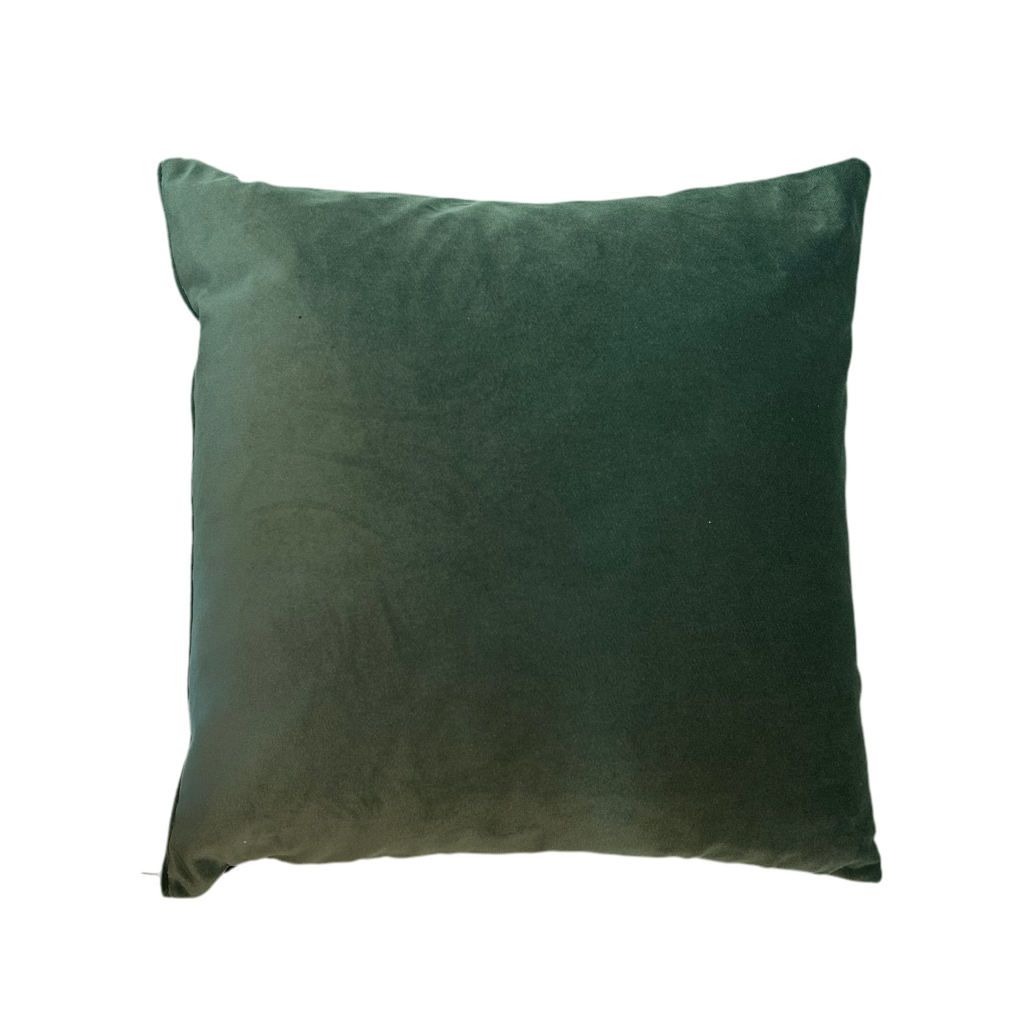 Becca who leopard print Green cushion