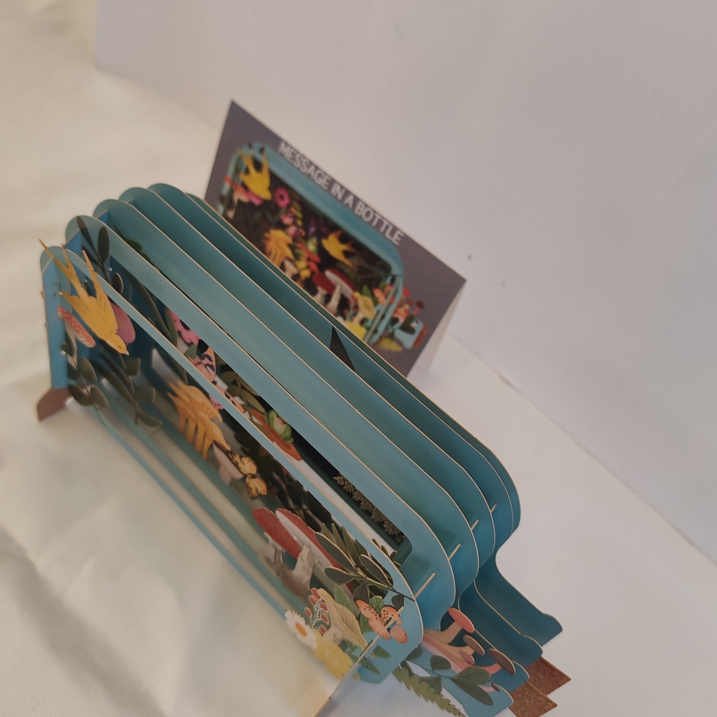 Message in a bottle 3d pop up greeting card. Frog garden theme