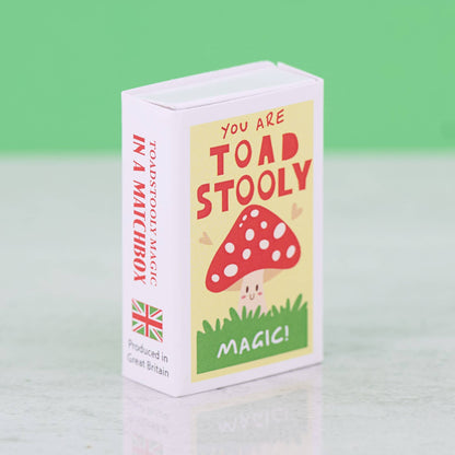 You Are Toadstooly Magic Wool Felt Mushroom In A Matchbox