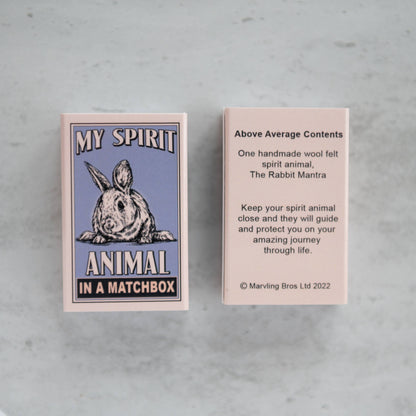 Rabbit Spirit Animal In A Matchbox