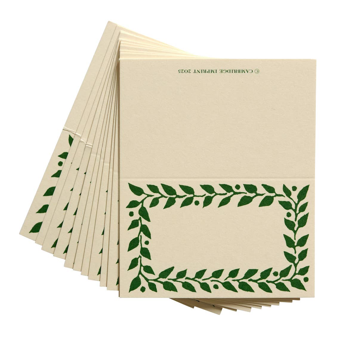 Pack of Twelve Pea Green Place Cards