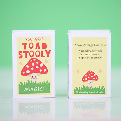 You Are Toadstooly Magic Wool Felt Mushroom In A Matchbox