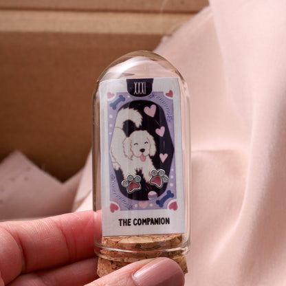 THE COMPANION  Crystal Tiny Paw earrings