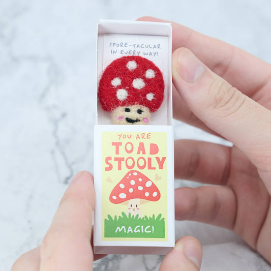 You Are Toadstooly Magic Wool Felt Mushroom In A Matchbox