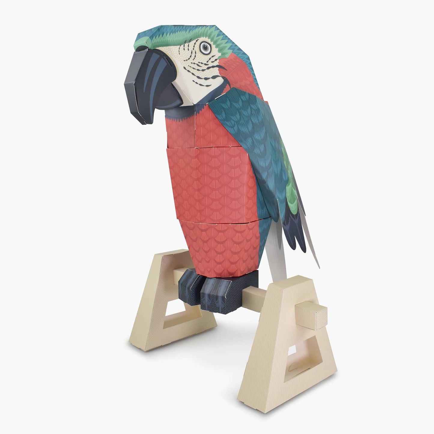 Parrot On A Perch