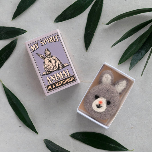 Rabbit Spirit Animal In A Matchbox