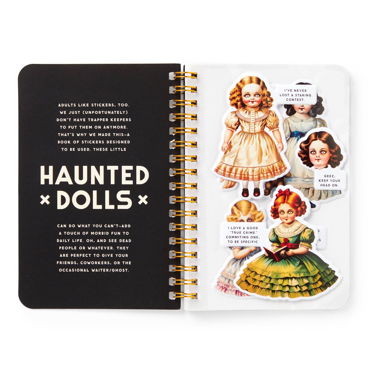 Haunted Dolls Sticker Book (Sticker Book or Pack)