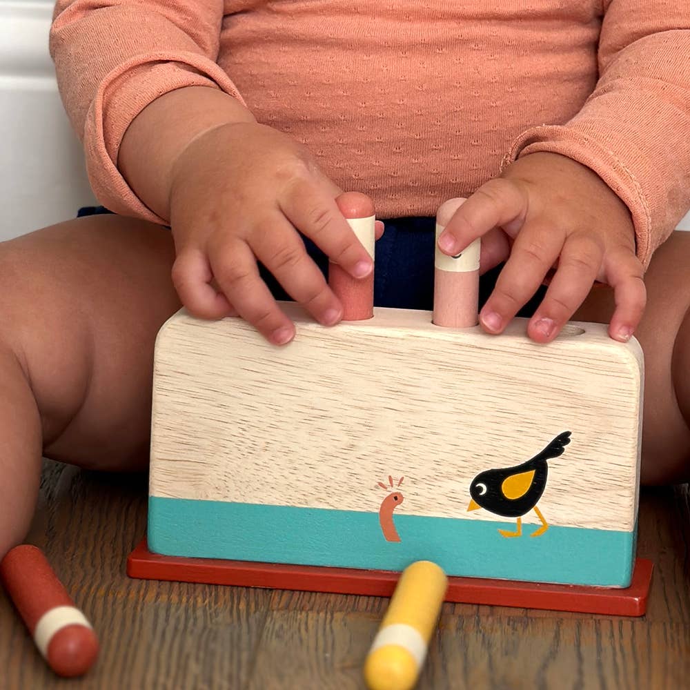 Mentari Early Bird Pop Up