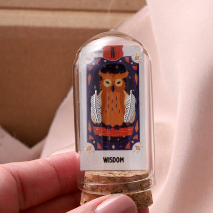 WISDOM feather earrings