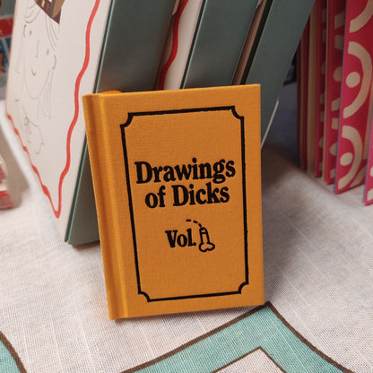 Mini book of Dicks notebook
