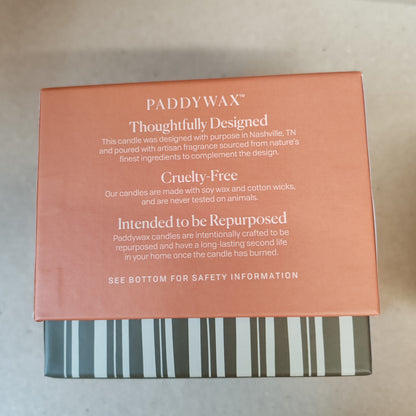 Bistro 8oz pumpkin scented candle in a ceramic pot.