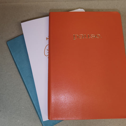 Gratitude Journal -pause