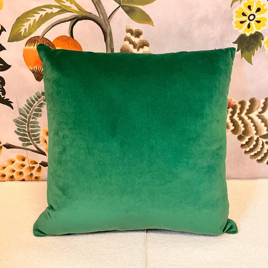 Becca who leopard print Green cushion